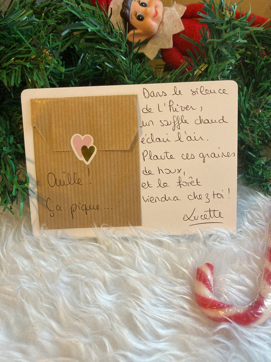 Carte graines à planter Houx LA FORÊT CHEZ TOI