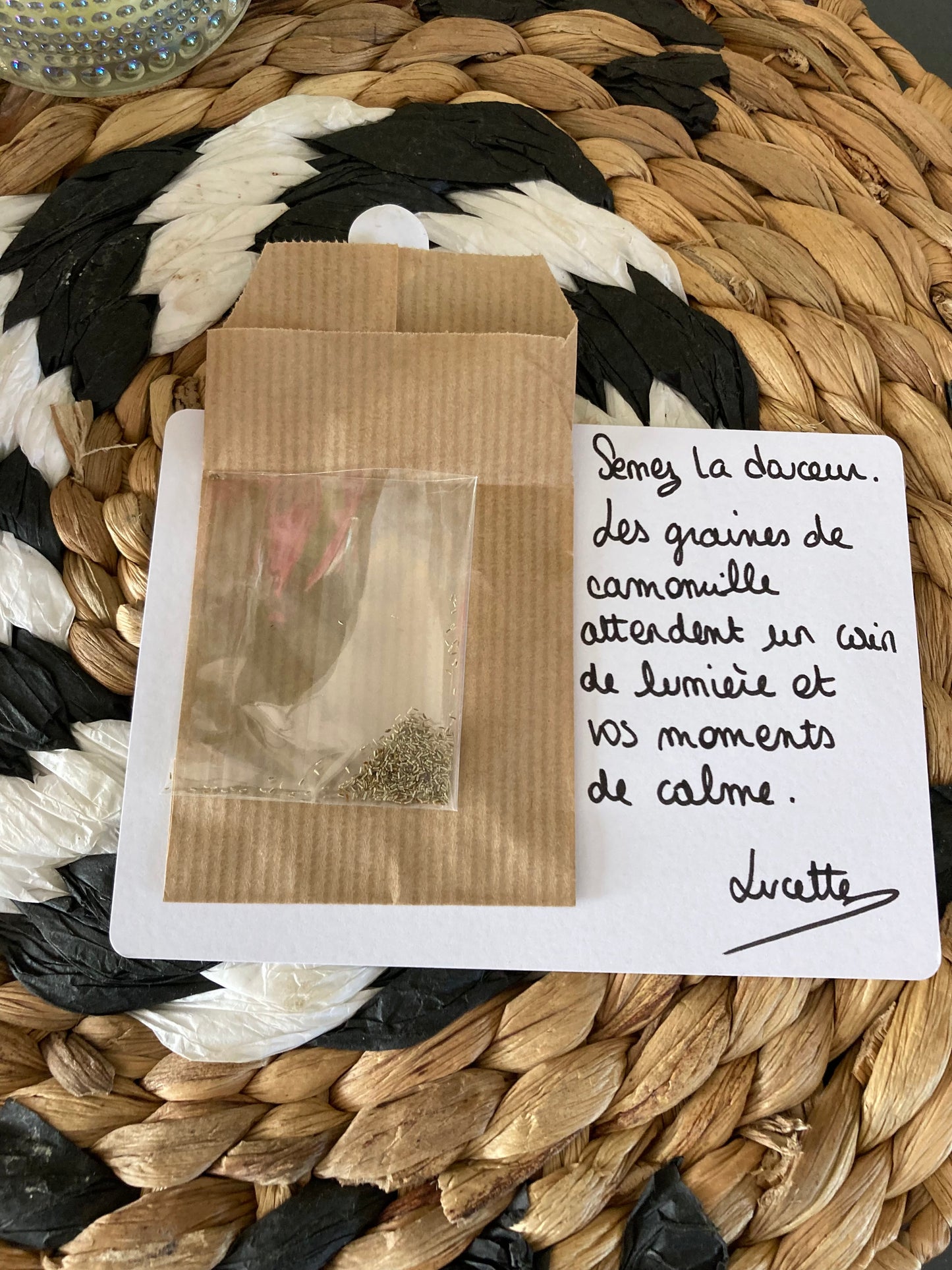 Carte graines à planter Camomille SÈME LE CALME