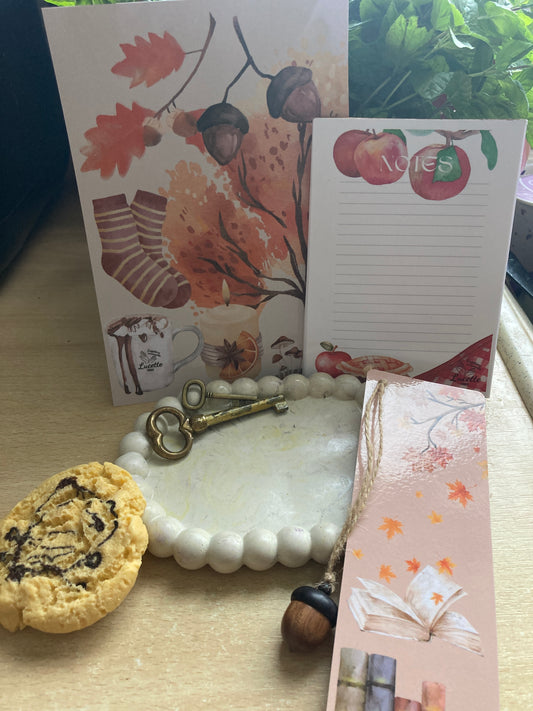 Box super LES CINQ INSTANTS •Édition limitée