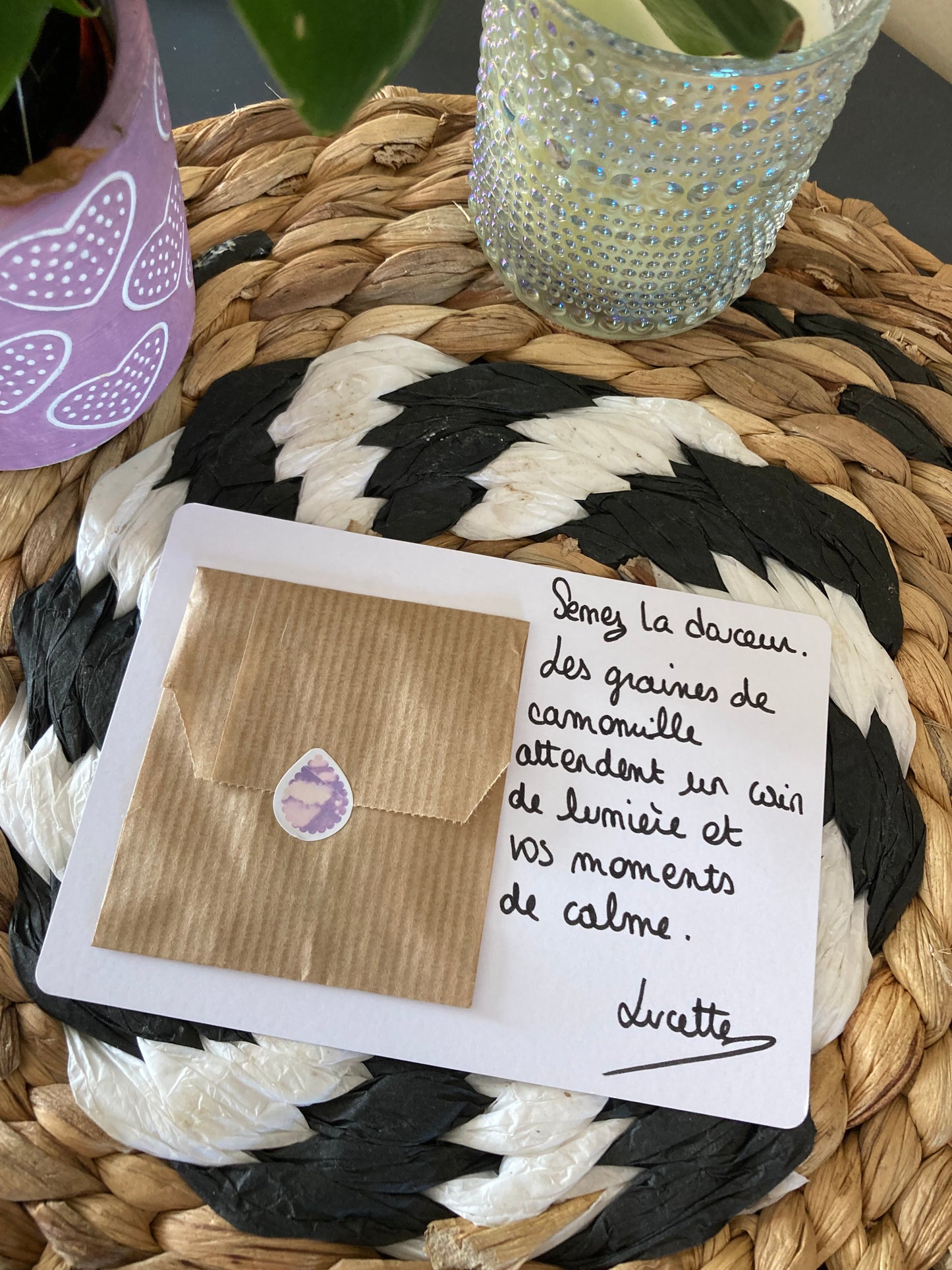 Carte graines à planter Camomille SÈME LE CALME