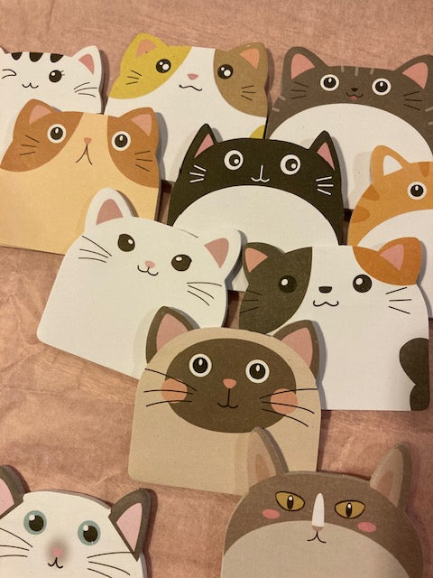 CARNET CHAT