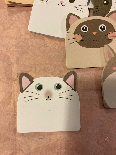 CARNET CHAT