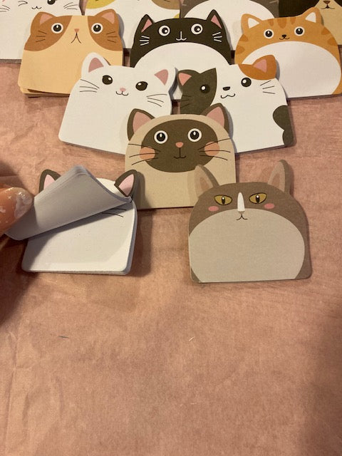 CARNET CHAT